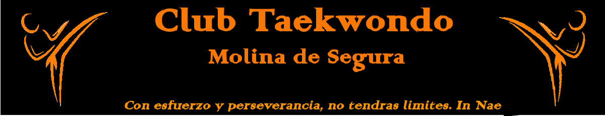 Taekwondo Molina de Segura. Un club de éxito deportivo. Artes Marciales