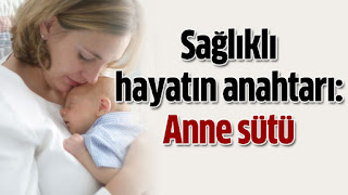 Anne sütü ile beslenme