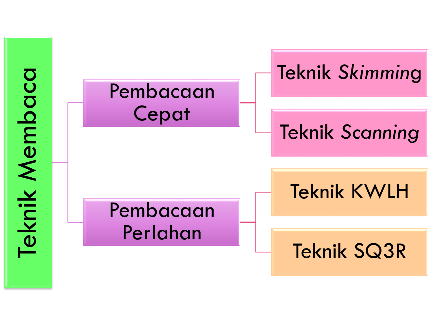 Teknik Membaca Cepat Menjawab Soal