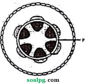 soal ipa terpadu