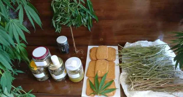 Βρώσιμη κάνναβη και συνταγές / Edible hemp and recipes