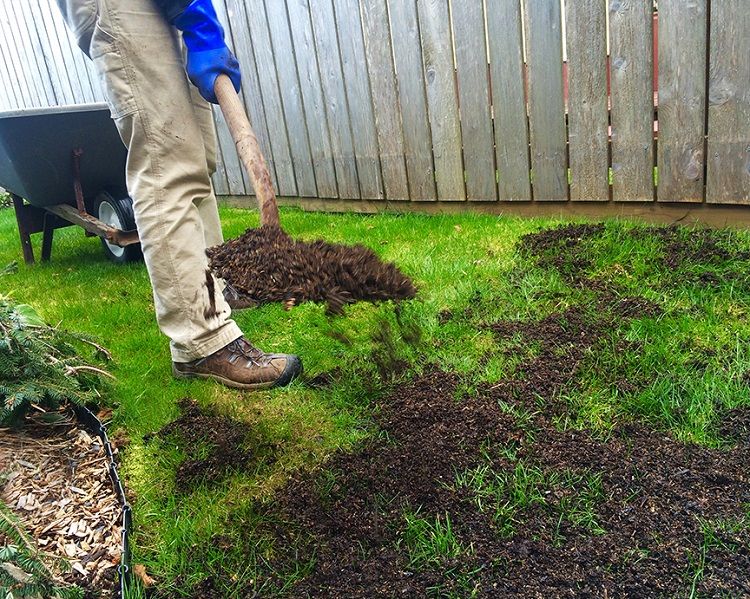 How to Fill Uneven Lawn Best Manual Lawn Aerator