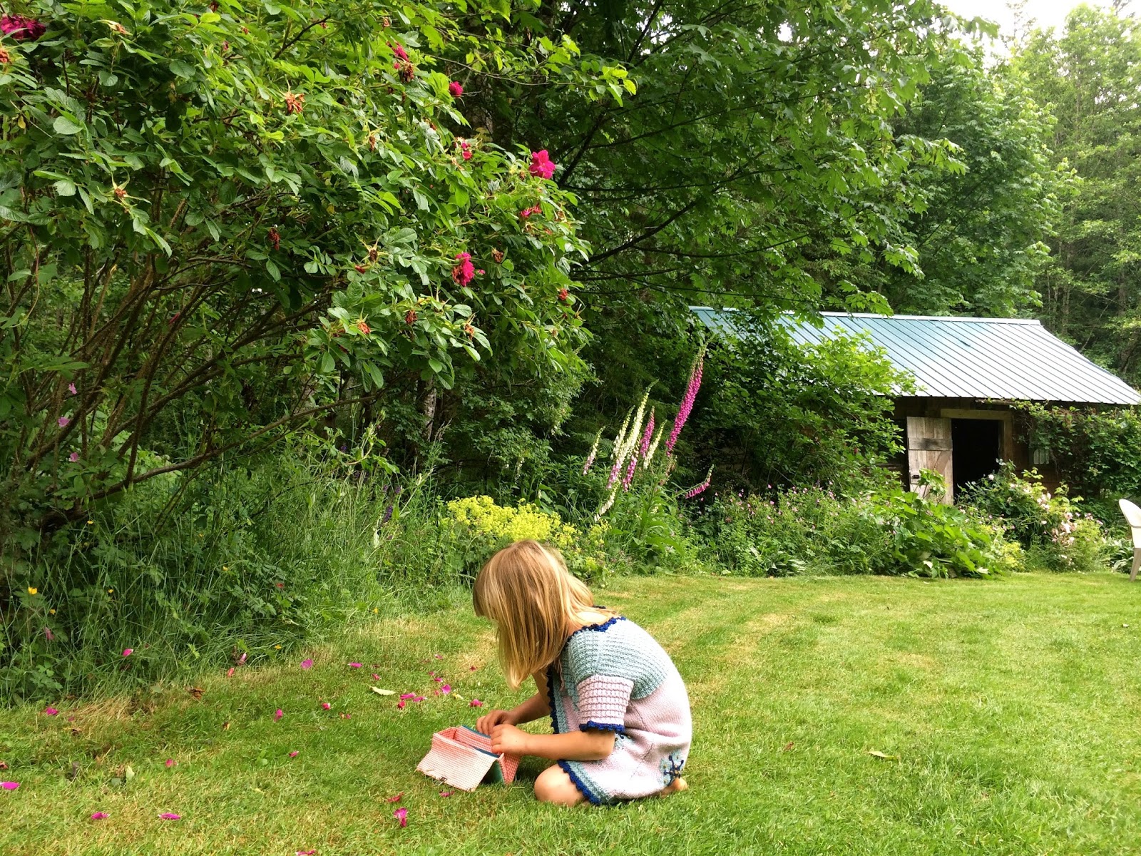 Marblemount Homestead Around the homestead