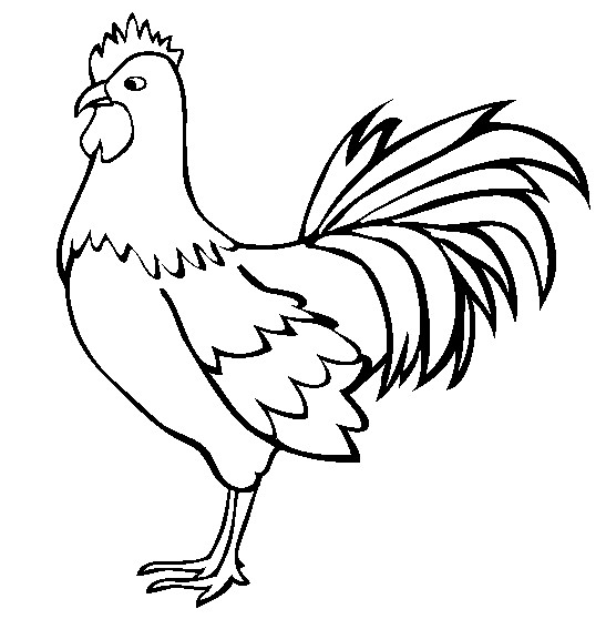 89 Gambar Ayam Untuk Diwarnai Anak Paud Terbaik 89 Gambar Ayam Untuk Diwarnai Anak Paud Terbaik