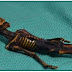Bizarro esqueleto de 15 cm é realmente de um humano