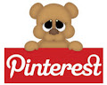 Follow Us on Pinterest