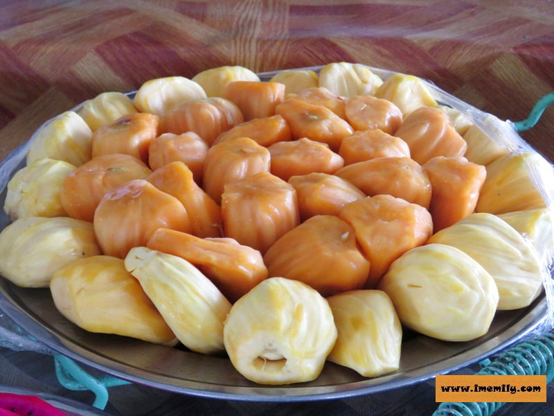 Must Visit Place in Desaru @ Desaru Fruit Farm