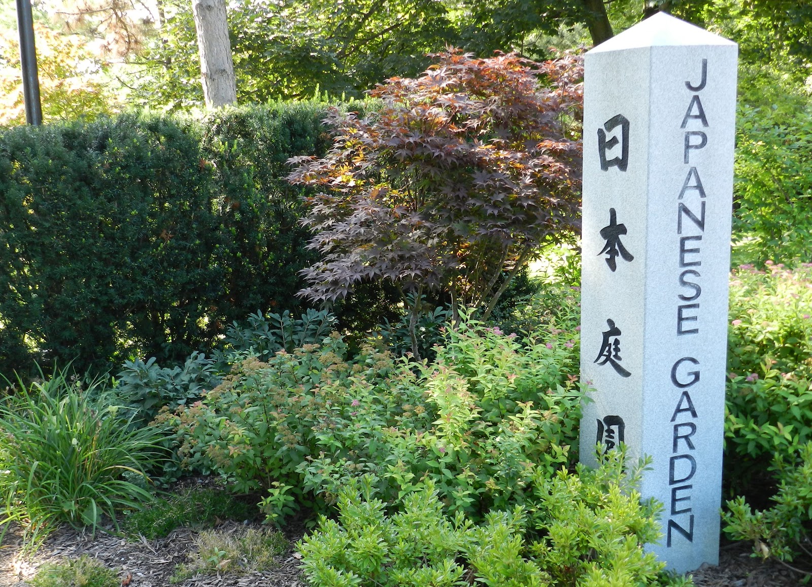 Welcome To The Japanese Garden Of Buffalo March 2012