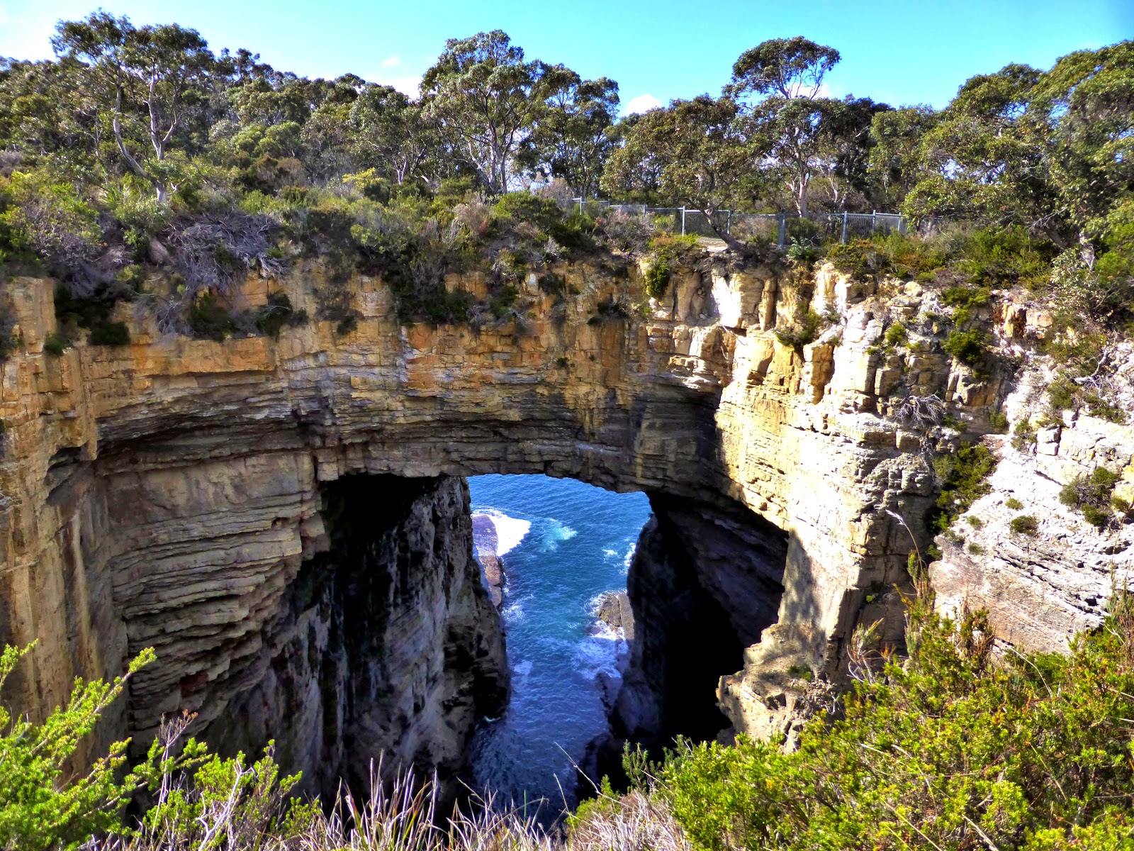 “Tasman Arch”的图片搜索结果