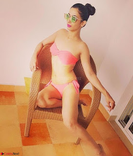 Heena Panchal in Bikini Portfolio Stunning Indian Actress Beauty ~  Exclusive Galleries 006