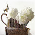 white peonies in Edwardian silver teapot on antique lace still life
oil painting shade of white