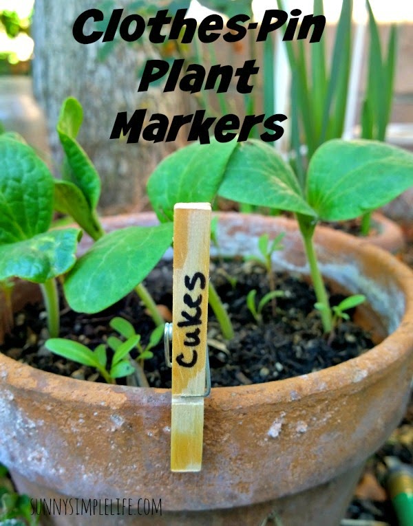 frugal gardening, DIY easy plant marker