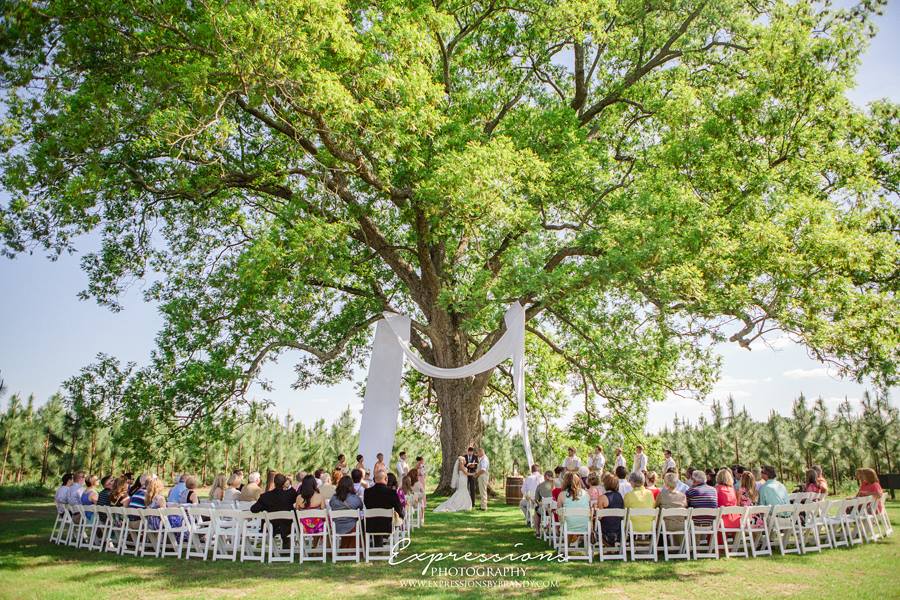 Twin Oaks Farm Weddings Pineview,
