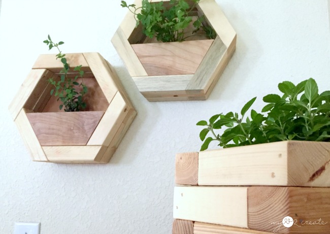 DIY Hexagon Planters, MyLove2Create
