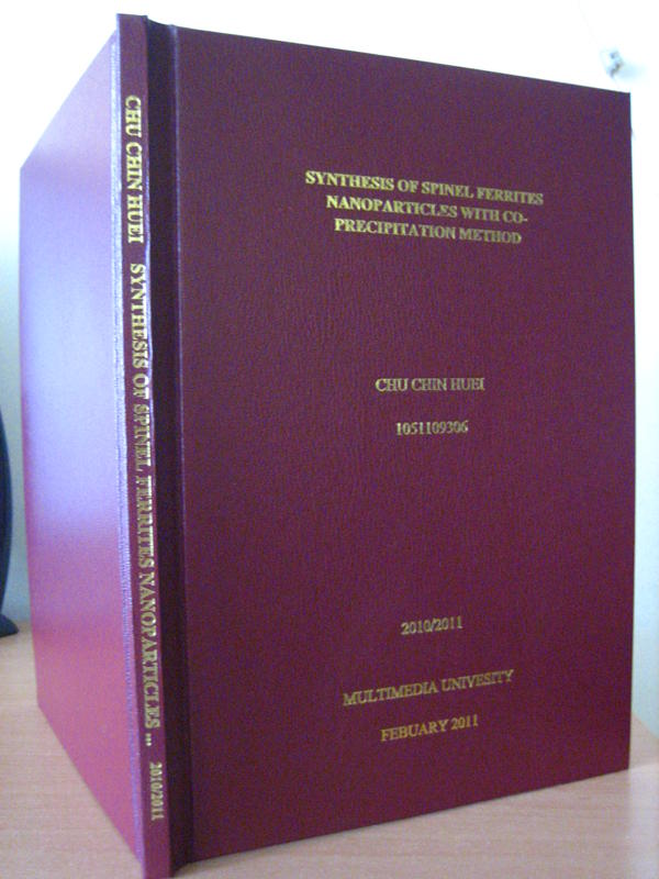 Dissertation publication number