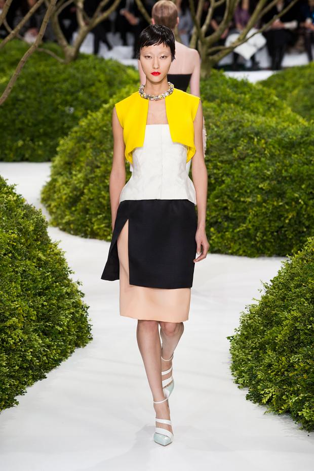 Dior Haute Couture Spring-Summer 2013 