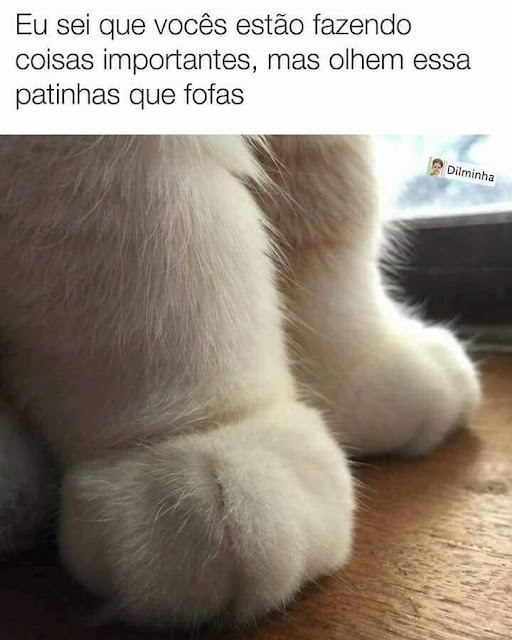 Memes engraçados Memes engraçados