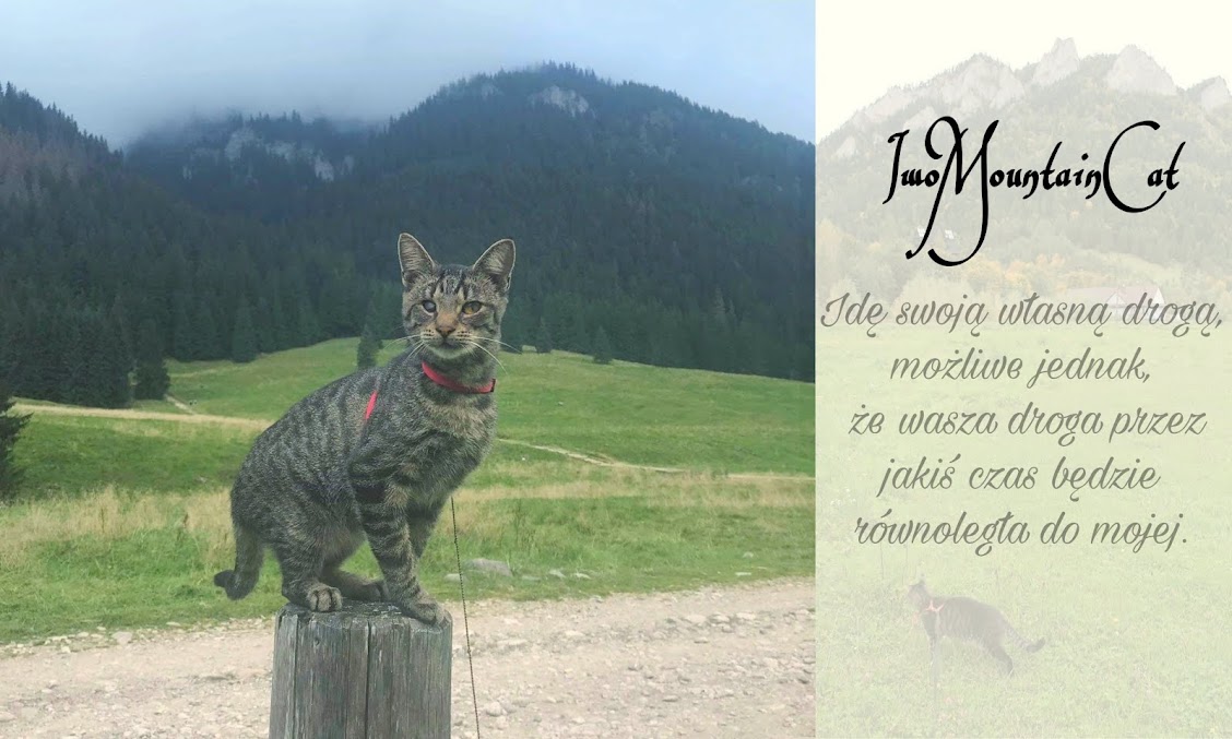 Iwo Mountain Cat