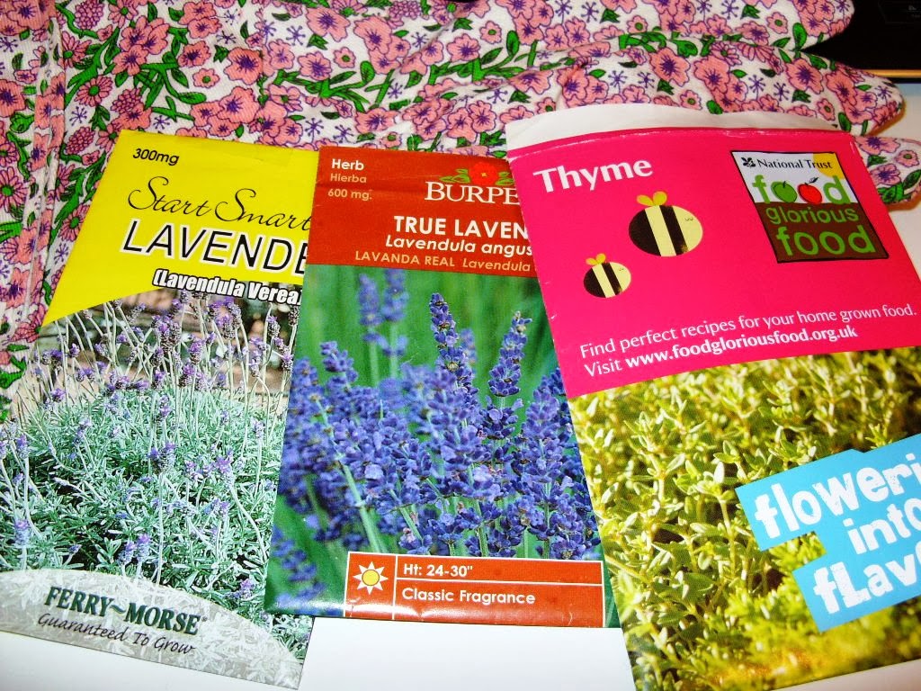 Kelli's Northern Ireland Garden Herbs in December