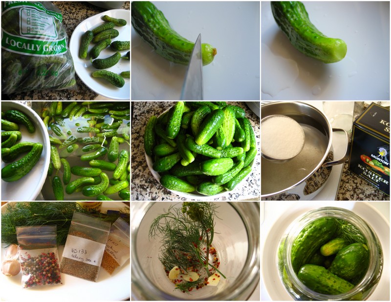 Home Cooking In Montana Brined Dill Pickles (naturally fermented