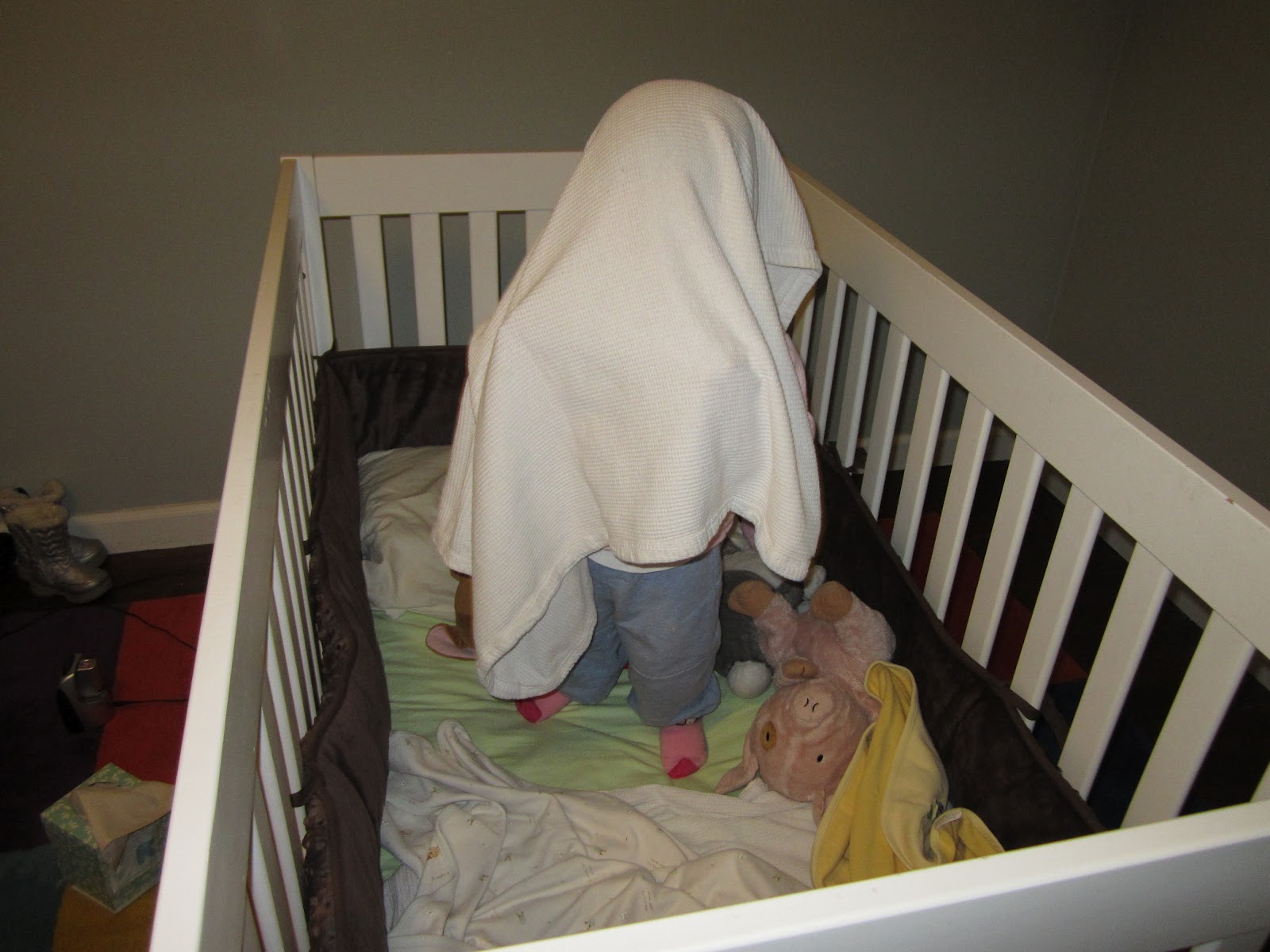 Blanket over Head February 2012