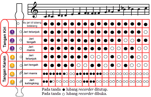 Recorder adalah salah satu alat musik tiup yang memiliki bunyi seperti pluit Cara Memainkan Seruling dan Pianika