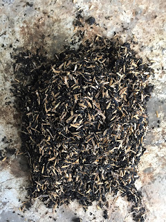 pinoy bonsai soil mix