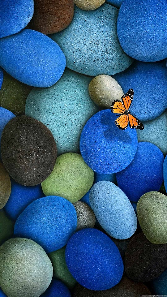 Blue Pebbles Orange Butterfly  Galaxy Note HD Wallpaper
