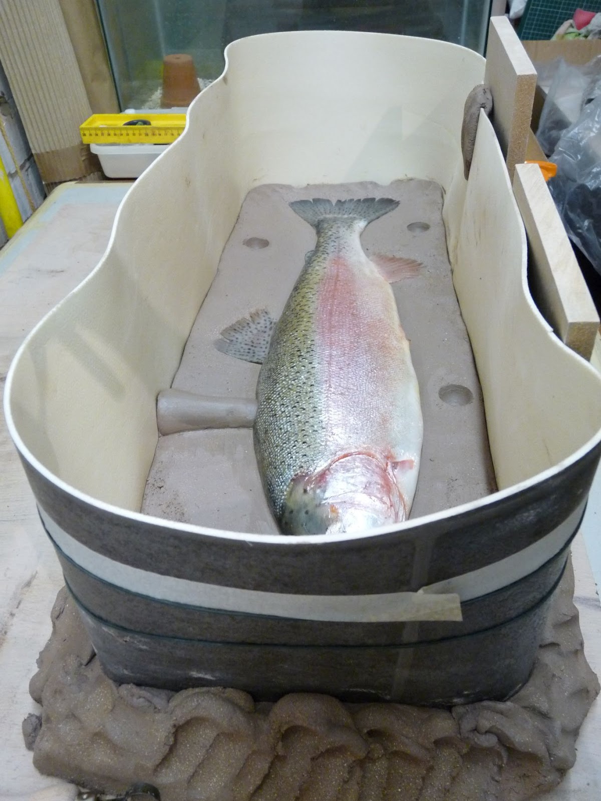 Just Pottering Making a plaster cast of a fish