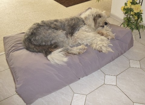 Lex & Max Hundekissen Bezug DOG STAR - 100x70 Cm Waschbar