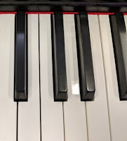 pictures of GEWA DP200 digital piano