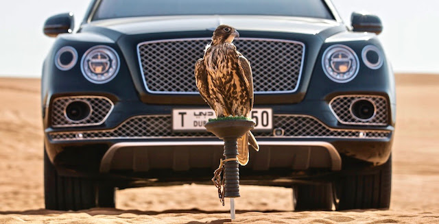 中東の王族向け？ベントレーから鷹狩り専用の贅沢なアクセサリー「ベンテイガ・ファルコンリー」が登場。