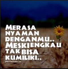 Image Result For Kata Kata Bijak Suami Untuk Istri Sholehah Image Result For Kata Kata Bijak Suami Untuk Istri Sholehah