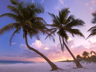 Fotografías de playas paradisiacas - Beautiful and famous Beaches