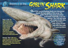 Goblin shark atau hiu shark hewan aneh di dunia