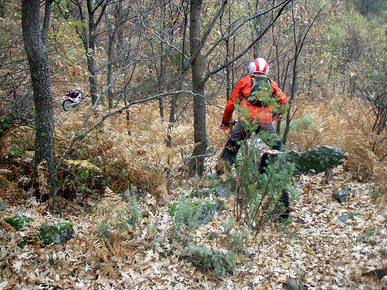 Cota 315r: Trial Excursión con nevada incluida