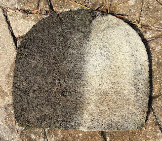 cleaning pond filters in spring cleaning pond filters in spring