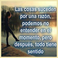 100 Frases bonitas reflexión