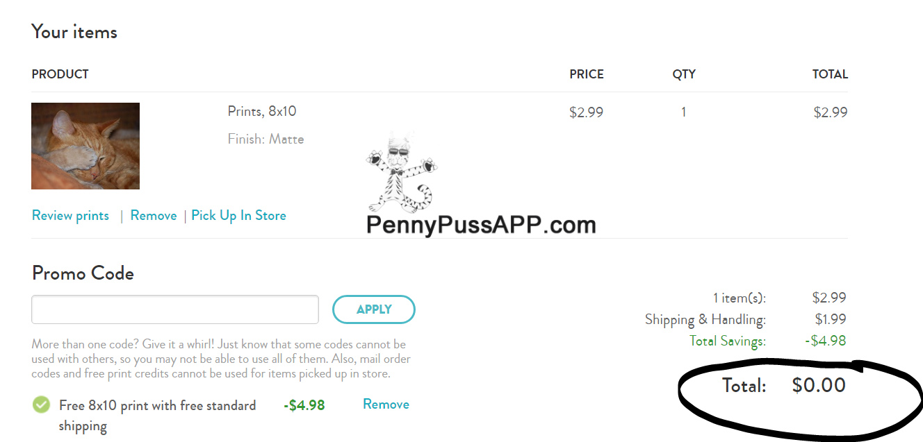 penny puss 2017 05 14