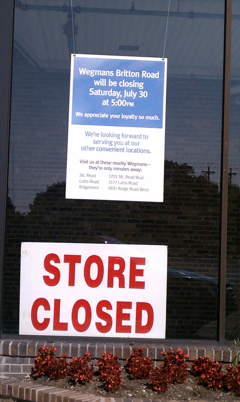 KillerOkapi: The Death of a Wegmans (Final)