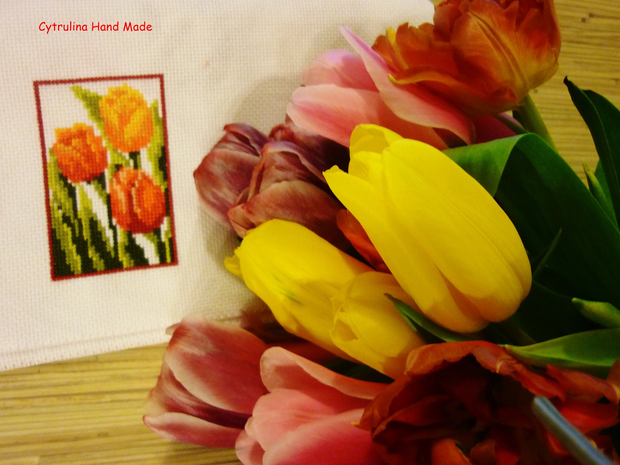 P1140001 - Kwiatowy rok - Tulipan