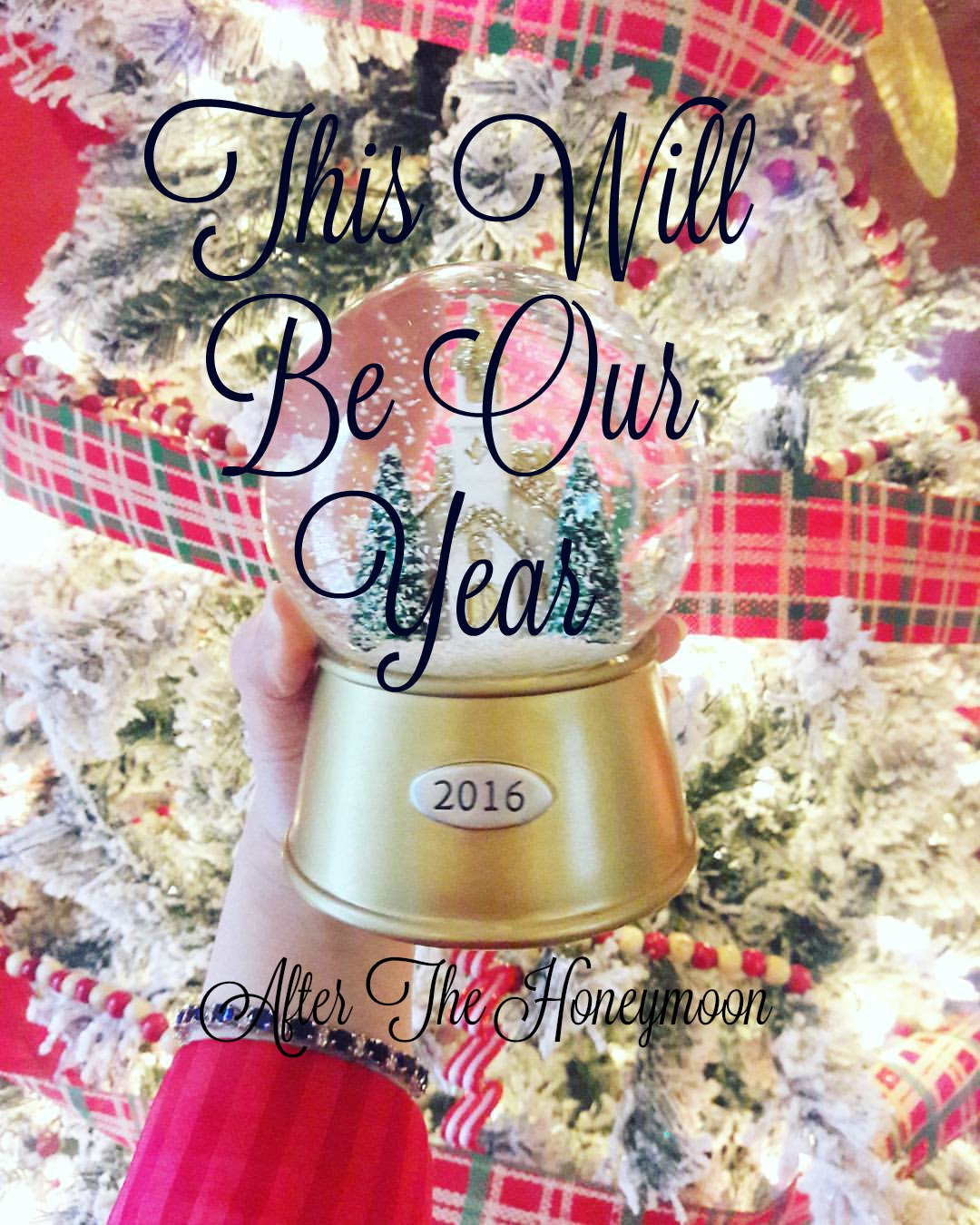 After The Honeymoon This Will Be Our Year