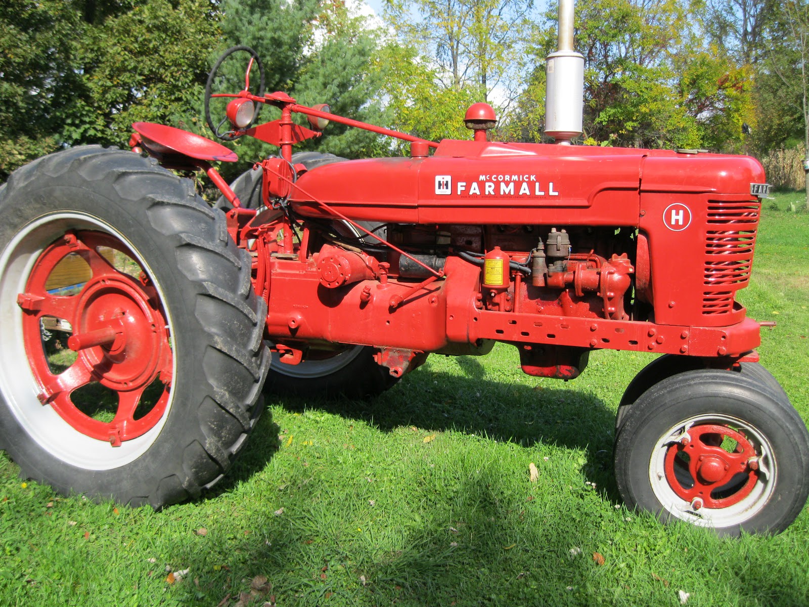 AMY'S HARVEST Harbor Freight 6x8 Greenhouse