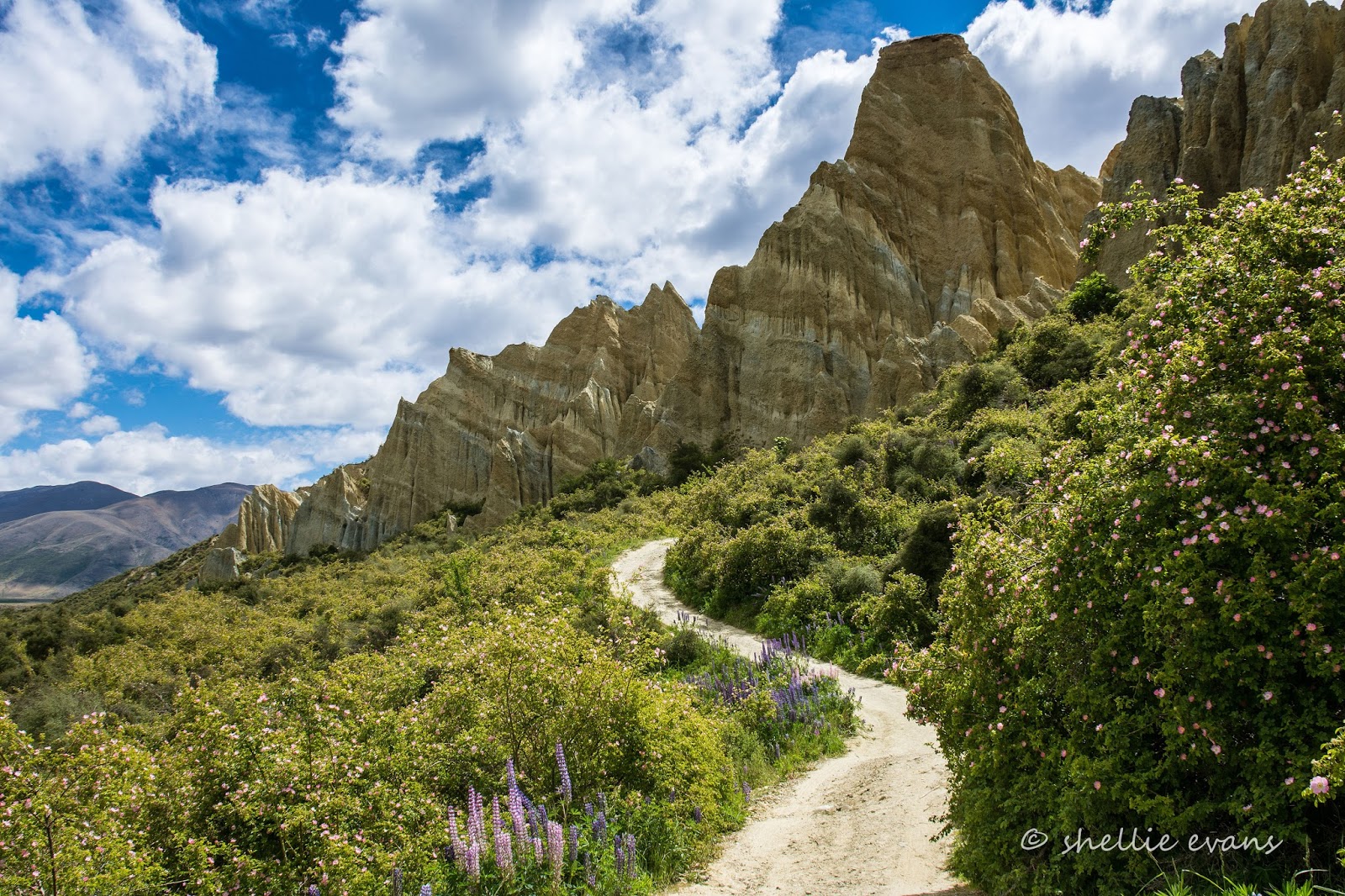 Two Go Tiki Touring Clay Cliffs of Omarama