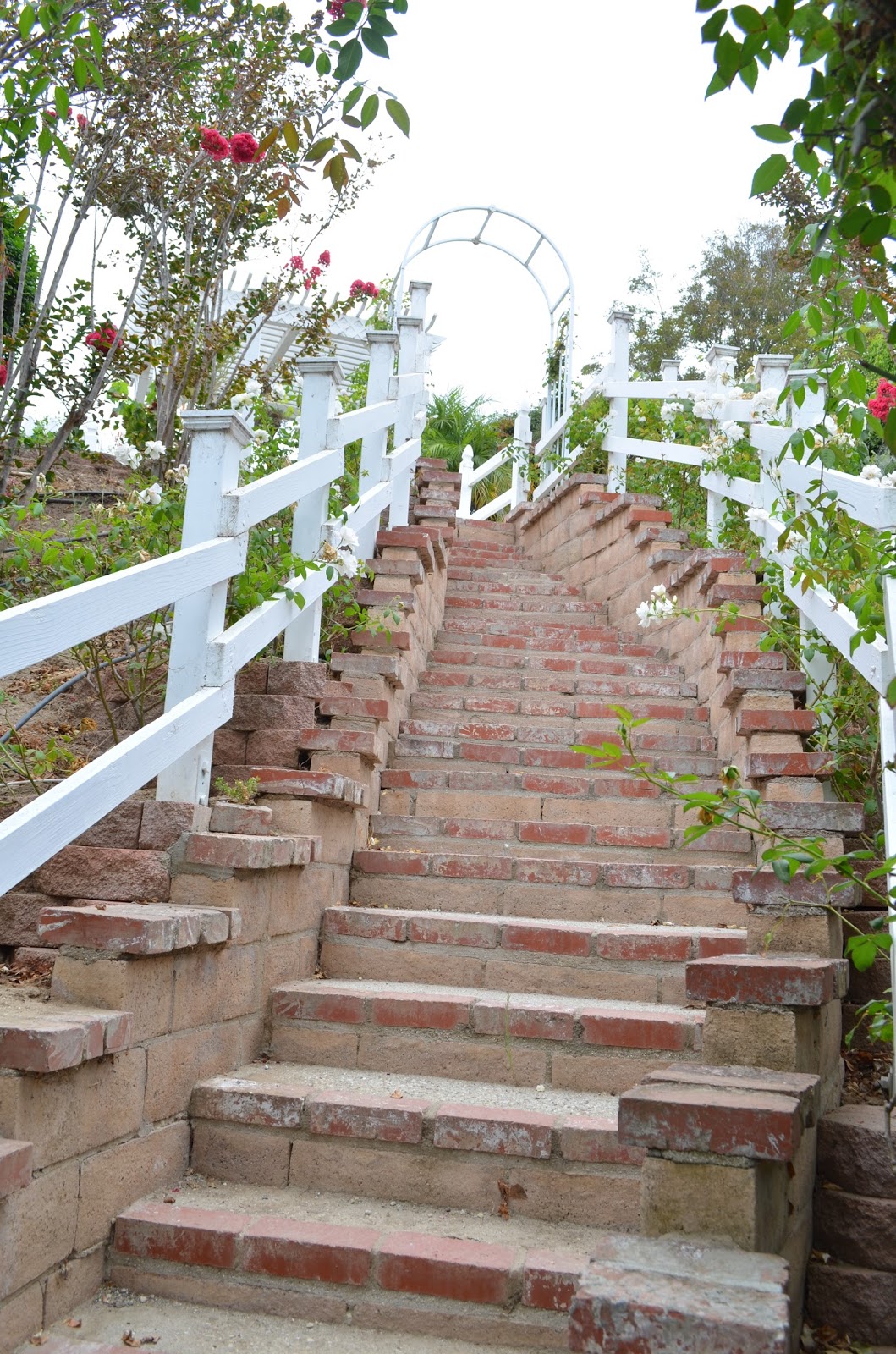 Entertaining From an Ethnic Indian Kitchen