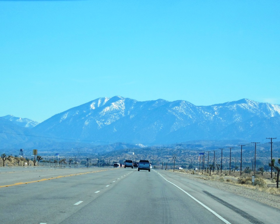 Doves Today Pearblossom HIghway