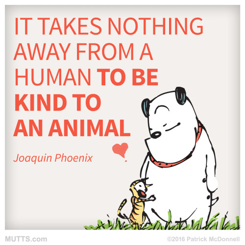 Oh, by the way...: Be Kind To Animals