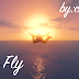 Nice Fly