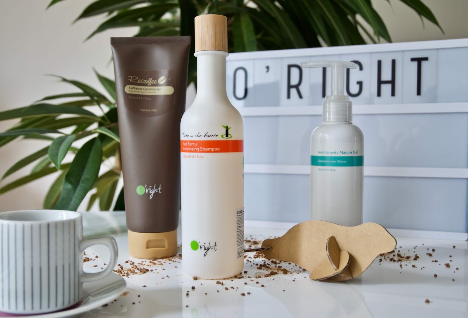 Swiss Beautytalk Introducing O Right Plastic Free Hair Care And