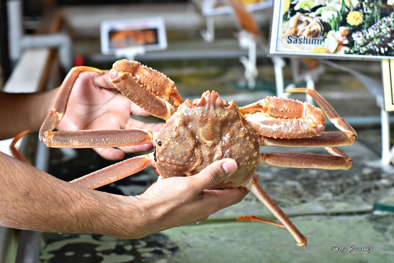 Crazy Deal Promotion for Live Canadian Lobster @ Chateau De Caffeineess